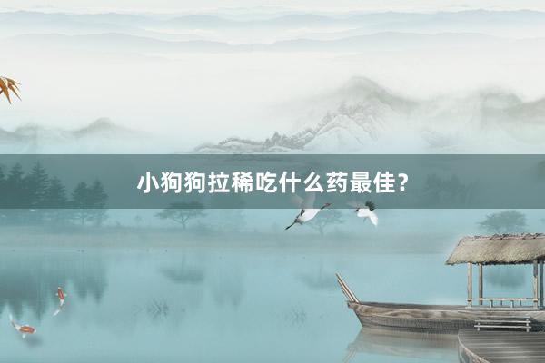 小狗狗拉稀吃什么药最佳？
